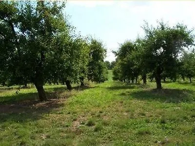 Chez Madeleine فندق مبيت وإفطار Saint-Colomb-de-Lauzun